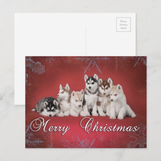 Heiseres Weihnachten (Vorne/Hinten)