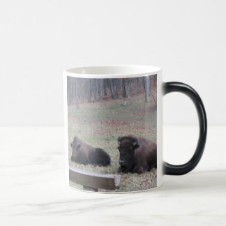 Heiß oder kalt? Tasse