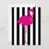 Heiß rosa Flamingo auf schwarzen und weißen Streif Postkarte (Vorne/Hinten)