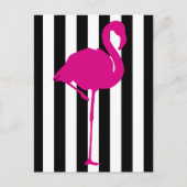 Heiß rosa Flamingo auf schwarzen und weißen Streif Postkarte (Vorderseite)