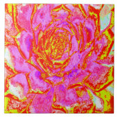 Heiß rosa, rot und gelb Sukkulat-Rosette Fliese (Vorderseite)