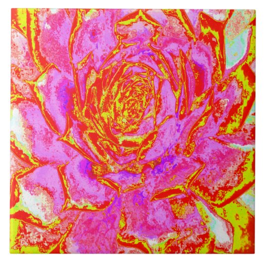 Heiß rosa, rot und gelb Sukkulat-Rosette Fliese (Vorderseite)