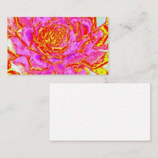 Heiß rosa, rot und gelb Sukkulat-Rosette Visitenkarte (Vorne/Hinten)