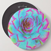 Heiß rosa und blau-sukkulente Sedum-Rosette Button (Vorne & Hinten)