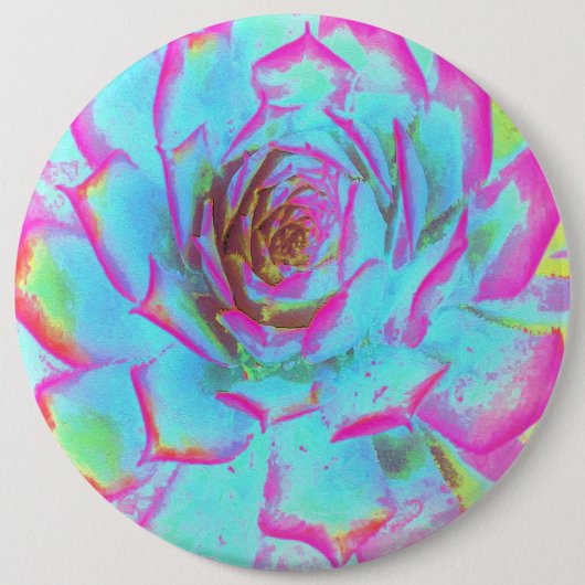 Heiß rosa und blau-sukkulente Sedum-Rosette Button (Vorderseite)