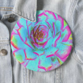 Heiß rosa und blau-sukkulente Sedum-Rosette Button (Beispiel)
