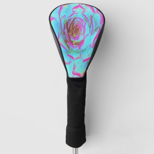 Heiß rosa und blau-sukkulente Sedum-Rosette Golf Headcover (Vorderseite)