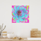 Heiß rosa und blau-sukkulente Sedum-Rosette Poster (Küche)