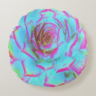 Heiß rosa und blau-sukkulente Sedum-Rosette Rundes Kissen