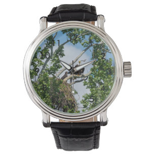 Heiße Adler Armbanduhr