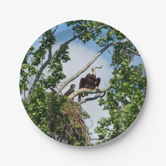 Heiße Adler Pappteller (Vorderseite)