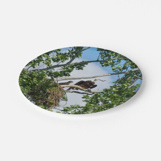 Heiße Adler Pappteller (Schrägansicht)