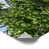 Heiße Adler Poster (Ecke)