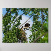 Heiße Adler Poster (Vorne)