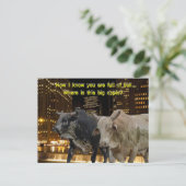 Heiße Bullen in der Stadt Postkarte (Stehend Vorderseite)