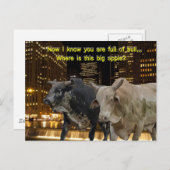 Heiße Bullen in der Stadt Postkarte (Vorne/Hinten)