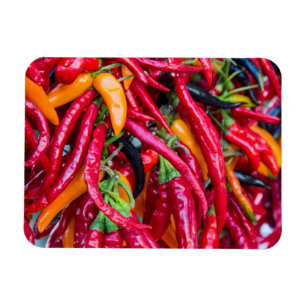 Heiße Chili Paprika auf dem Bauernmarkt in Madison Magnet