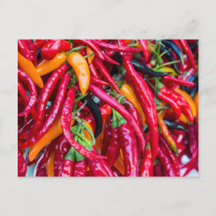 Heiße Chili Paprika auf dem Bauernmarkt in Madison Postkarte