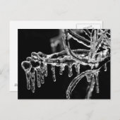 heiße Jahreszeit Postkarte (Vorne/Hinten)