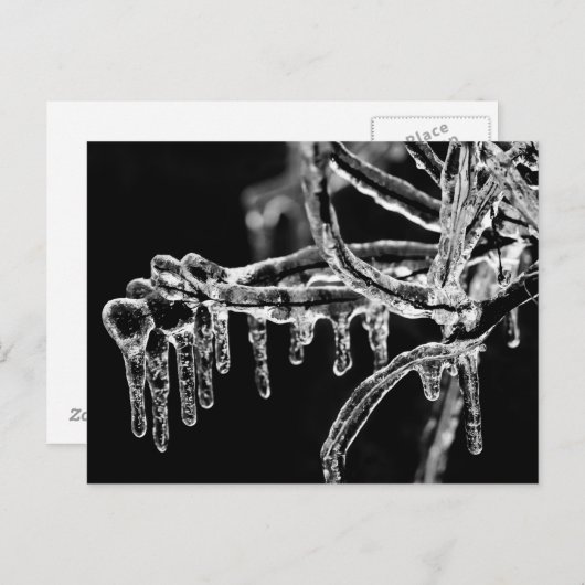 heiße Jahreszeit Postkarte (Vorne/Hinten)