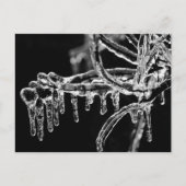 heiße Jahreszeit Postkarte (Vorderseite)