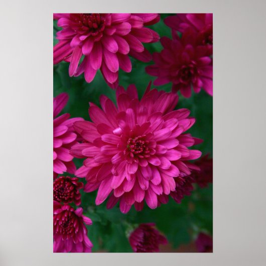 Heiße Mama! Poster (Vorne)