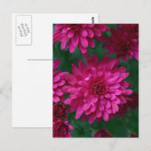 Heiße Mama! Postkarte (Vorne/Hinten)