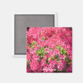 Heiße rosa Azaleen Magnet (Vorderseite/Rückseite)
