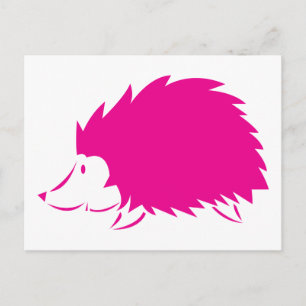 Heiße Rosa Igel Postkarte