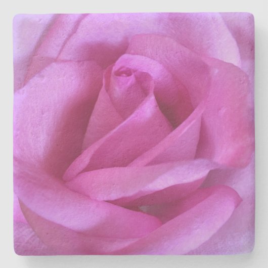 Heiße rosa Rose Blume fett schick-schick-fotografi Steinuntersetzer (Vorderseite)