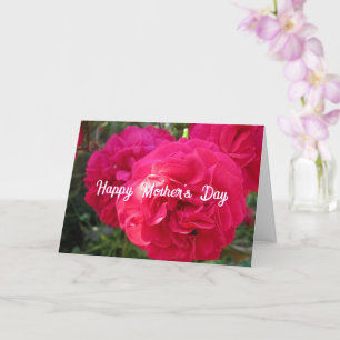 Heiße rosa Rosen - Personalisierte Muttertagskarte Karte