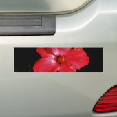 Heiße rosarote Hibiskus-Blume auf Schwarzem Autoaufkleber (Auf Auto)