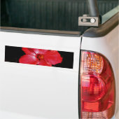 Heiße rosarote Hibiskus-Blume auf Schwarzem Autoaufkleber (Auf Lkw)