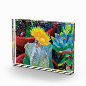 Heißer Kaktus Fotoblock (Rechts)