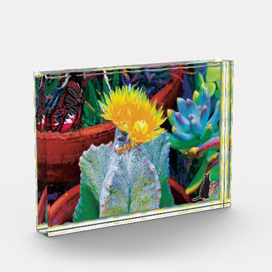 Heißer Kaktus Fotoblock (Links)