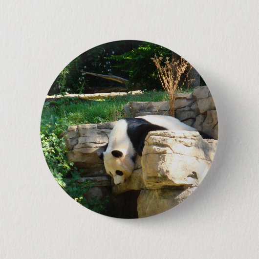 Heißer Panda Button (Vorderseite)