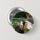 Heißer Panda Button (Vorne & Hinten)