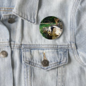 Heißer Panda Button (Beispiel)
