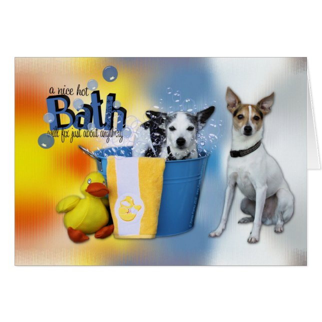 Heißes Bad - Ratte Terrier (Vorderseite (Horizontal))