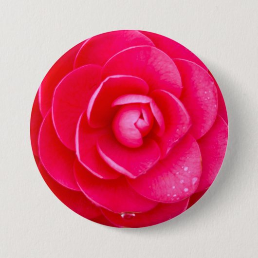 Heißes Rosa Dahlie Button (Vorderseite)