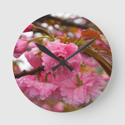 Heißes Rosa-Kirschblüten-Blumen Runde Wanduhr (Vorderseite)