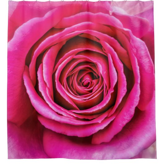 Heißes Rosa-Rose Duschvorhang (Vorderseite)