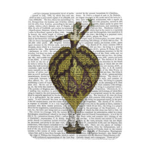 Heißluft-Ballon-Frau 1 Magnet