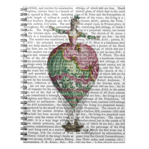 Heißluft-Ballon-Frau 2 Notizblock