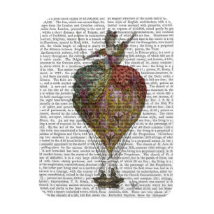 Heißluft-Ballon-Frau 3 Magnet