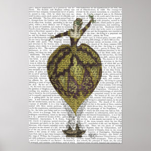 Heißluft-Ballon-Frau Poster