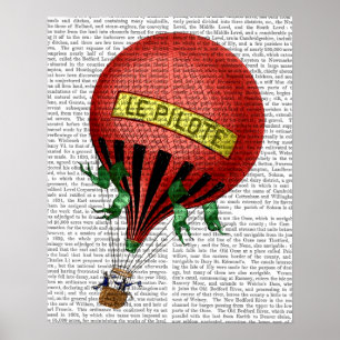 Heißluft-Ballon Jardin De Tuileries Poster