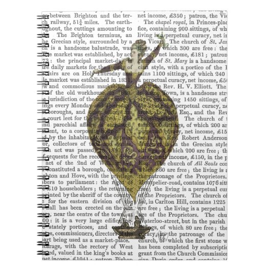 Heißluftballon Frau 1 Notizblock (Vorderseite)