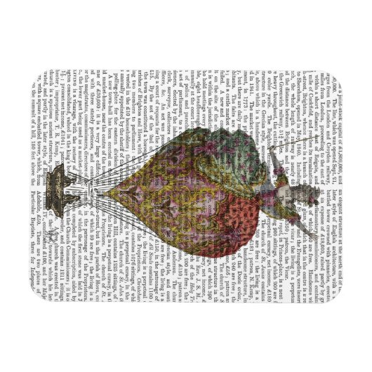 Heißluftballon Frau 3 Magnet (Horizontal)