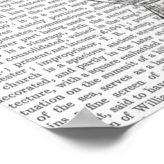 Heißluftballon-Frau Poster (Ecke)